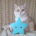 4_Sapphire_2601000_600x